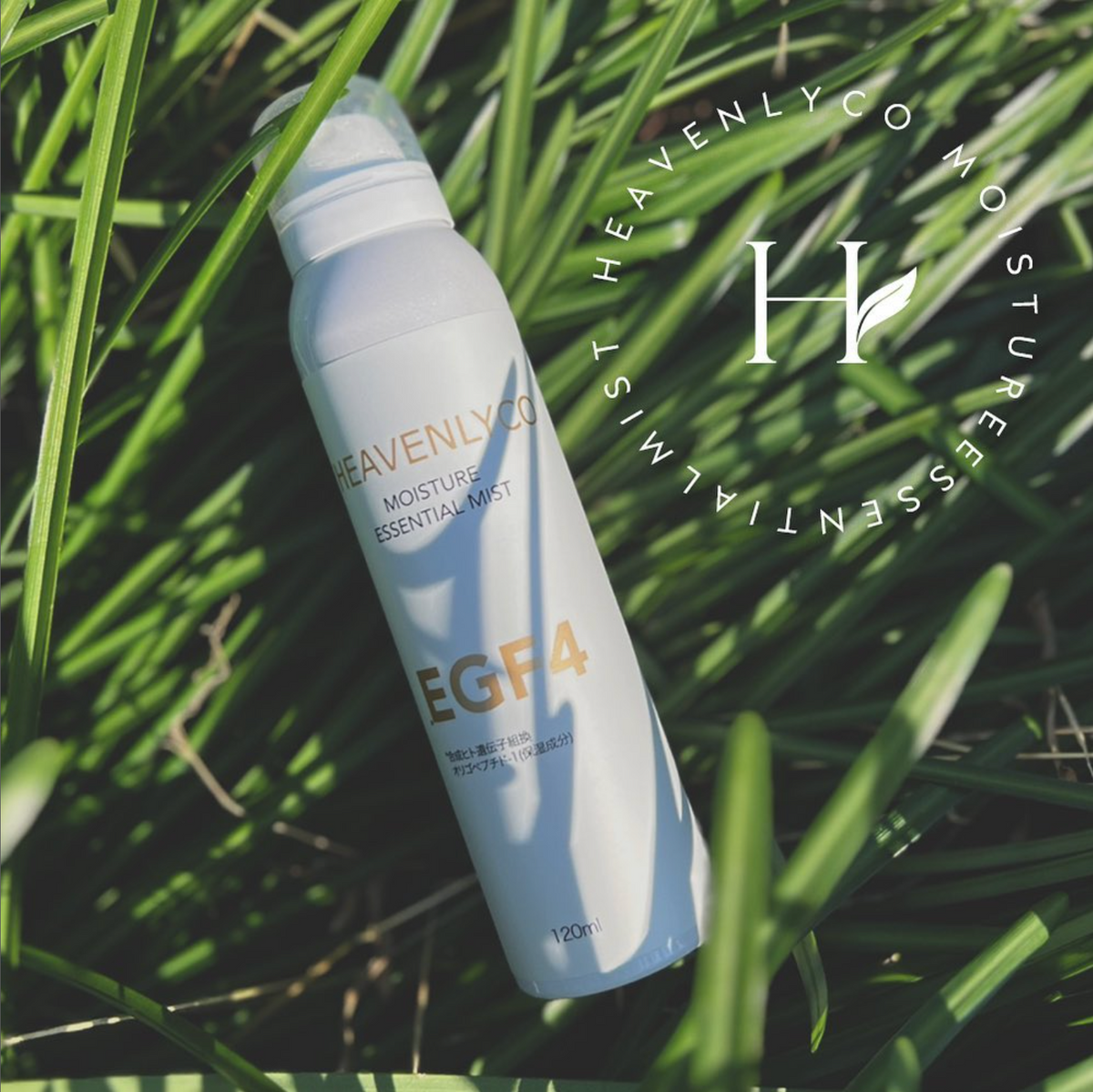 HEAVENLYCO ミスト